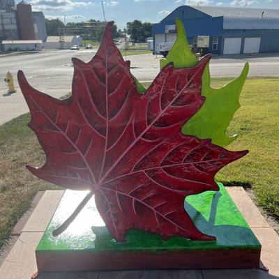 Shelter Insurance Leaf (2024)