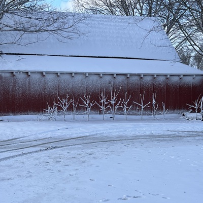 Original ARC Wild Hospital north wing