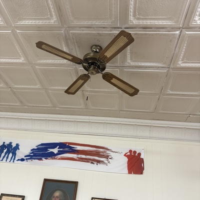 removal of old ceiling fans