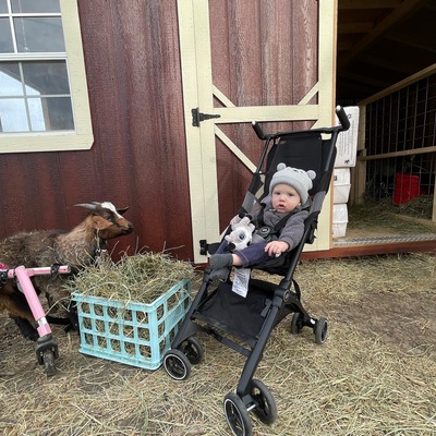 Rescued goat, Andy and grandbaby Paxton in front of the new handicapped goat barn.