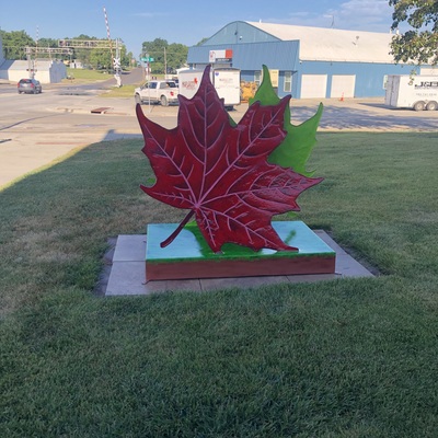 Shelter Insurance Leaf (2024)