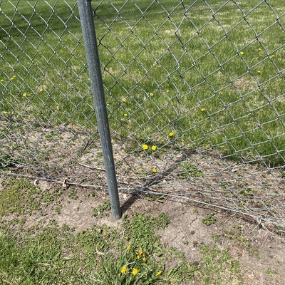 Current state of fence