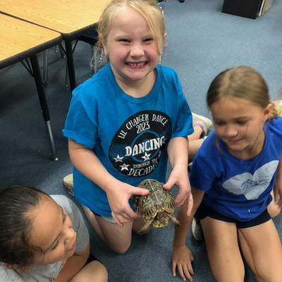 Summer school 2023