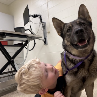 Trident came to us as a stray with a badly fractured femur and required surgery at K-State.